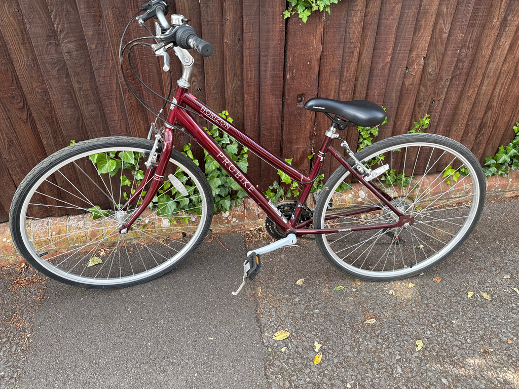 Frame Probike Road Bike Probike Horizon Women 2019