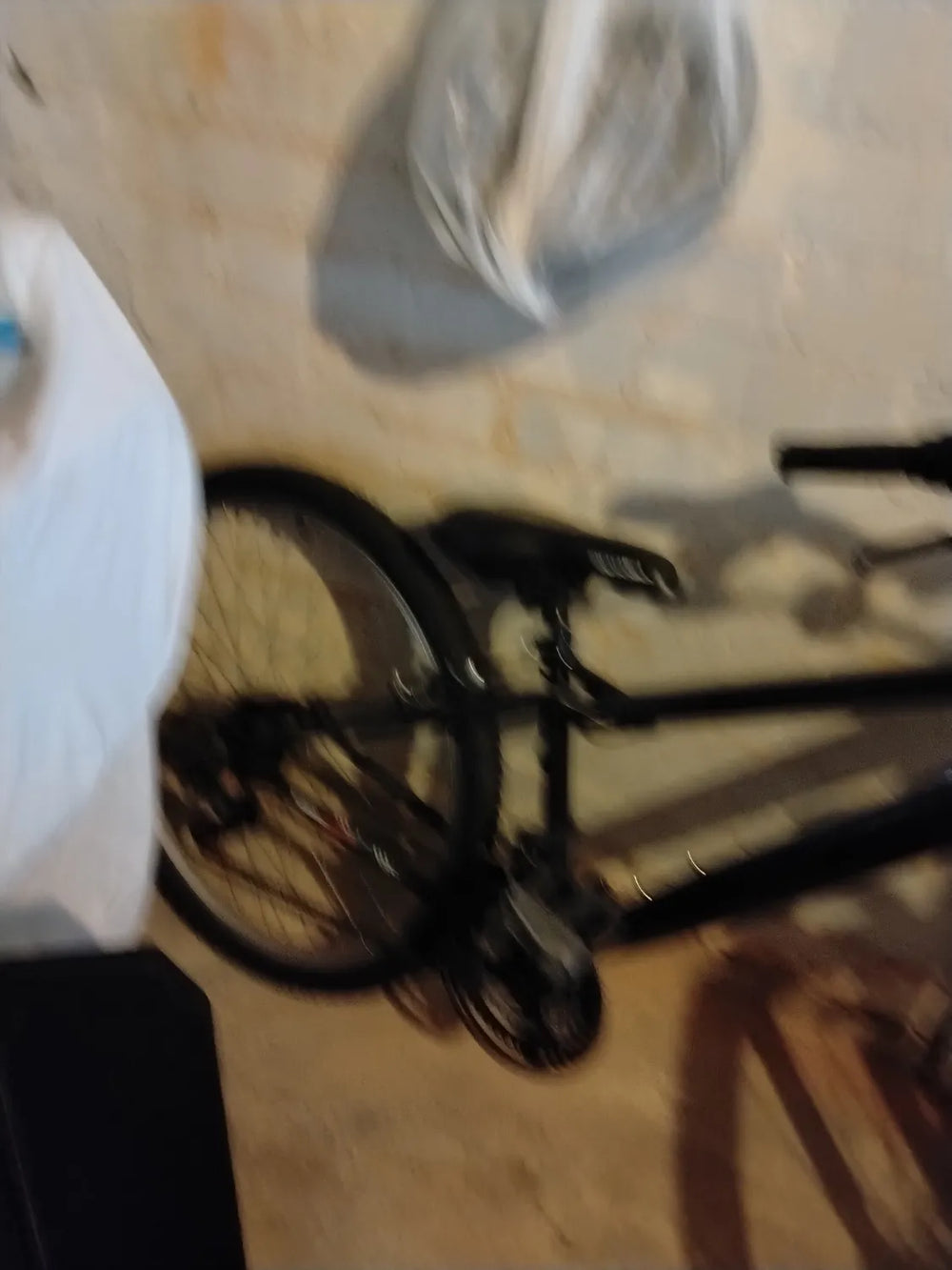 Giant STP 24 2020