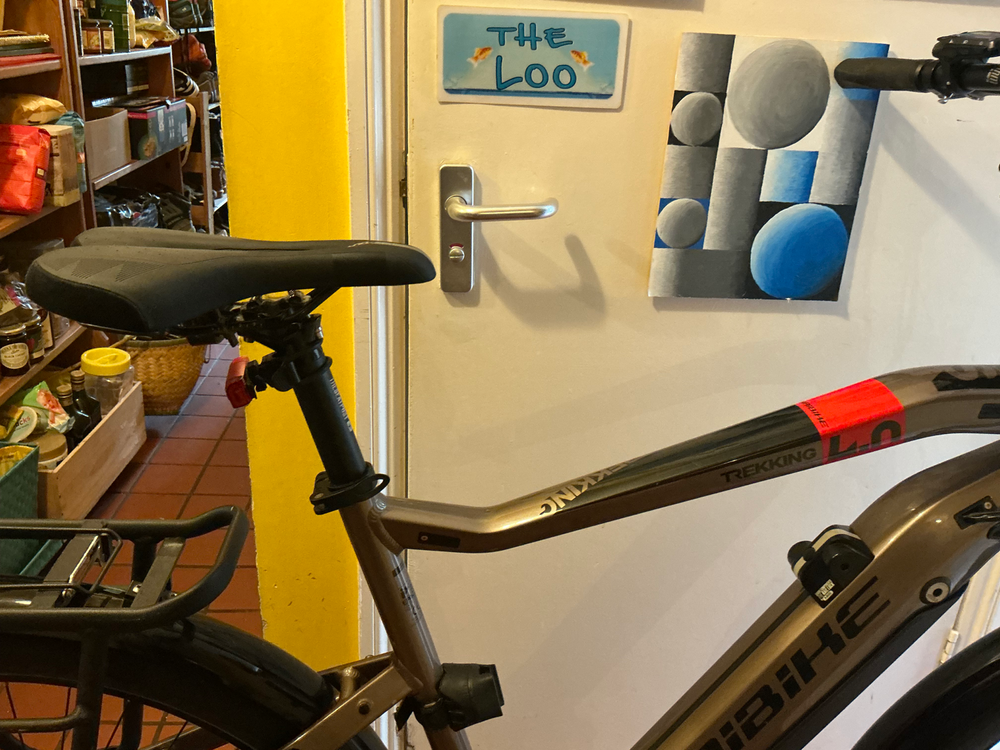 Haibike SDURO Trekking 4.0 2020