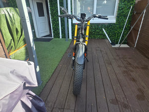 Lankeleisi Rv700