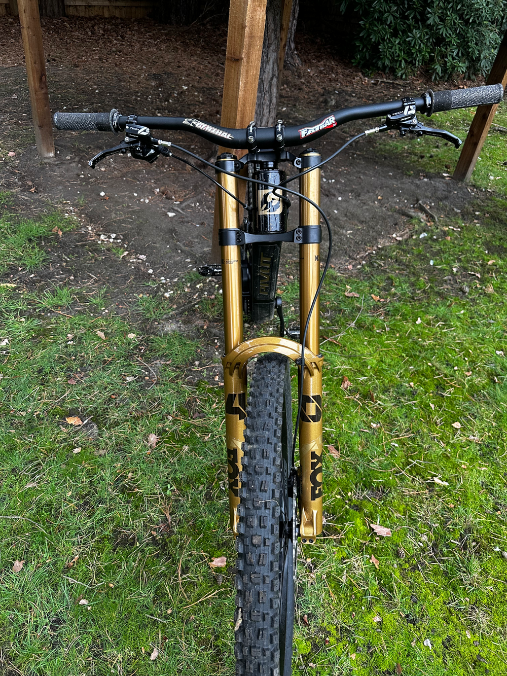 Pivot Phoenix 2025 DH carbon