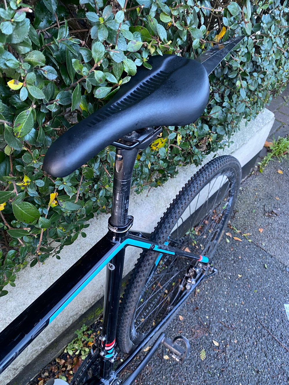 Focus MARES APEX 1 2018