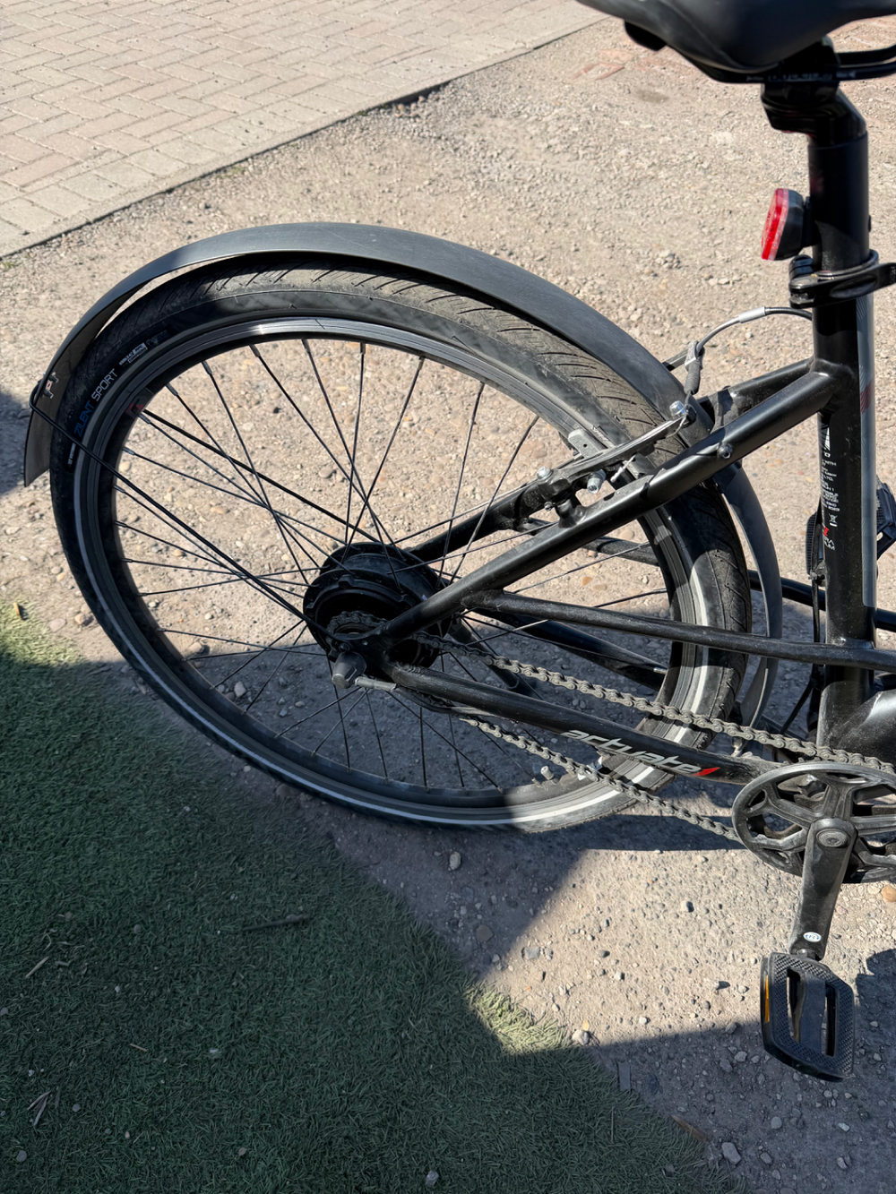 Carrera Actuate 1 Lowstep 2024