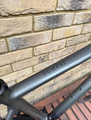 Trek Domane AL 2 Disc 2025