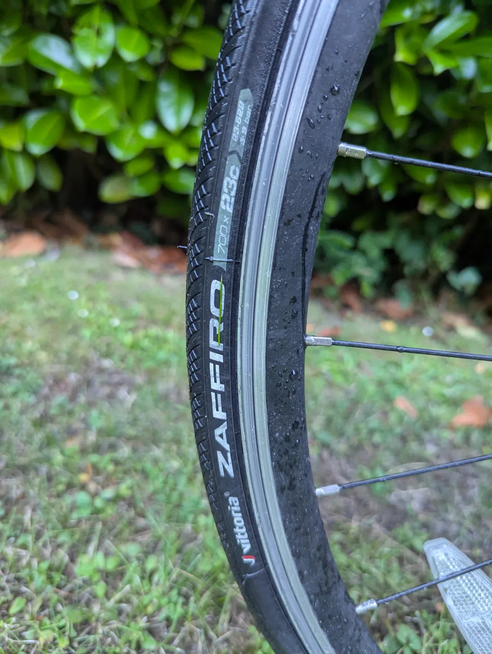 Cannondale CAAD Optimo Claris 2019