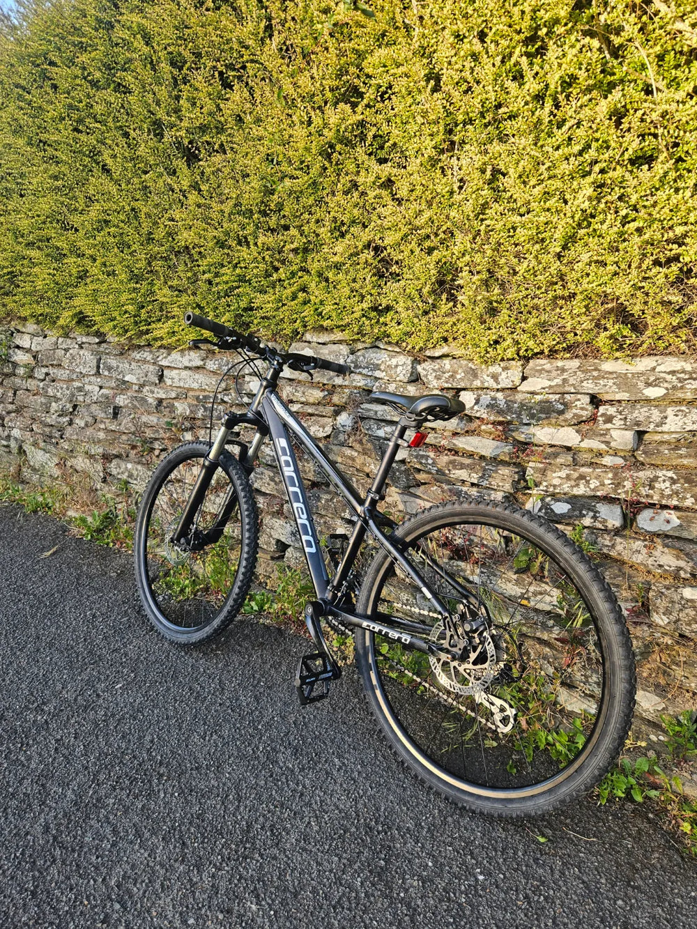 Carrera Vengeance Junior 2016
