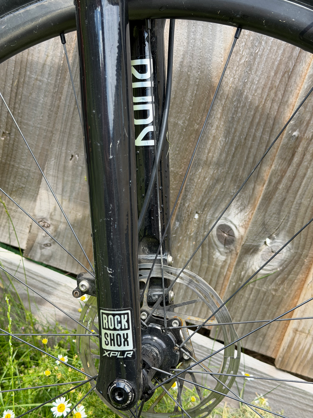 Giant Revolt X, Advanced Pro 1 2023
