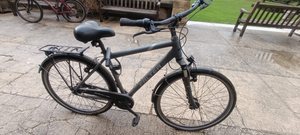 Falter C 4.0 Plus 2020 heavy duty bike’