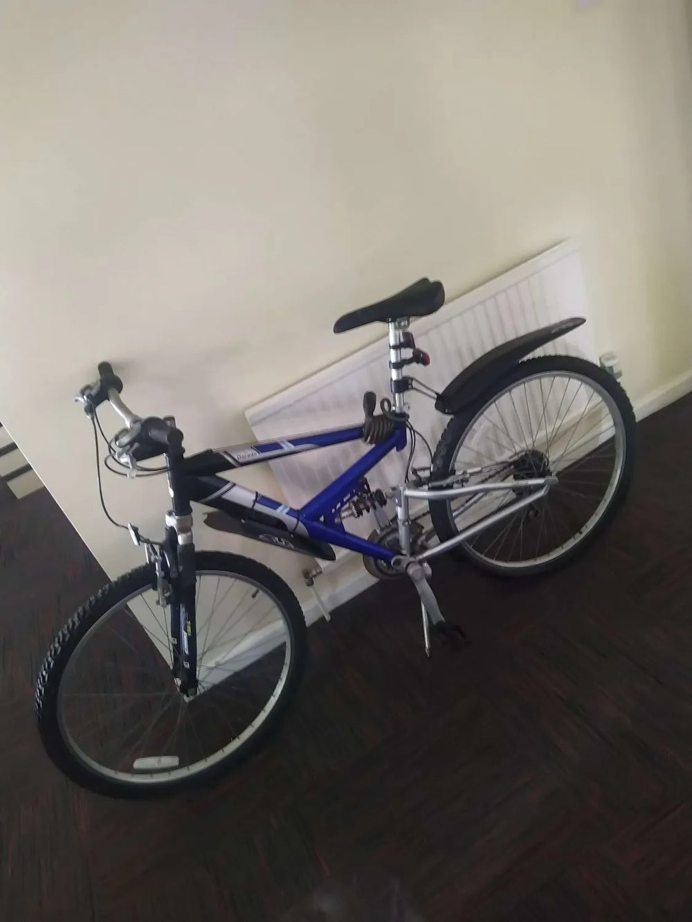 Raleigh Dorado 1999
