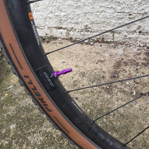 Giant Revolt - Advanced Pro 0 2023