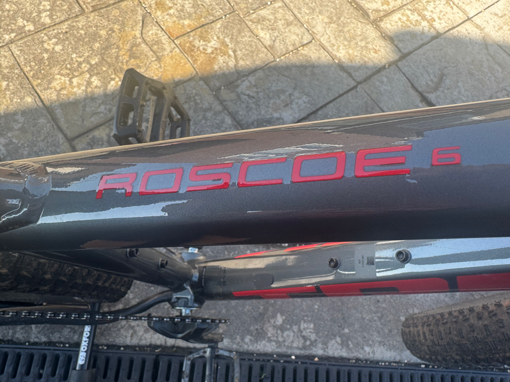 Trek Roscoe 6 2024