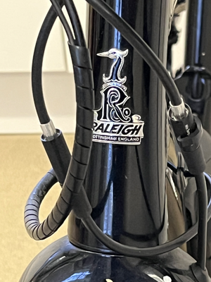 Raleigh Mustang E Comp 2019