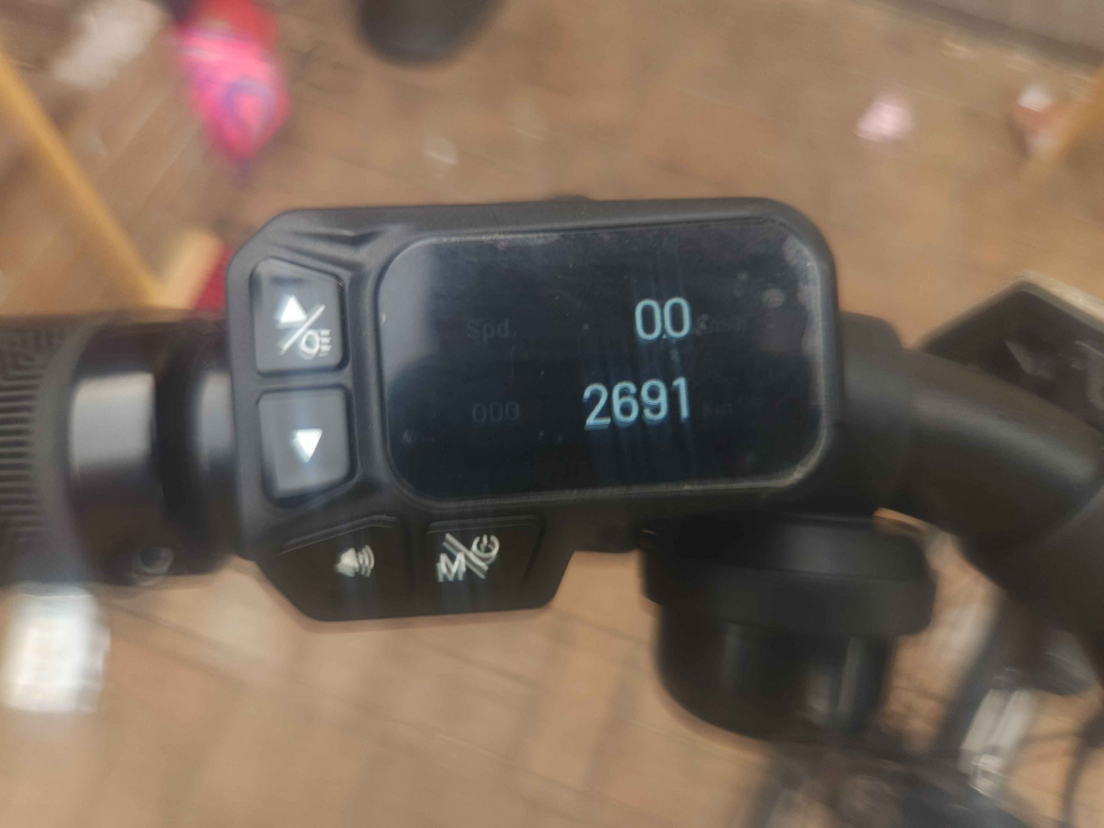 Fiido C11 2024
