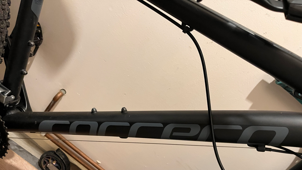 Carrera Vengeance , 2024