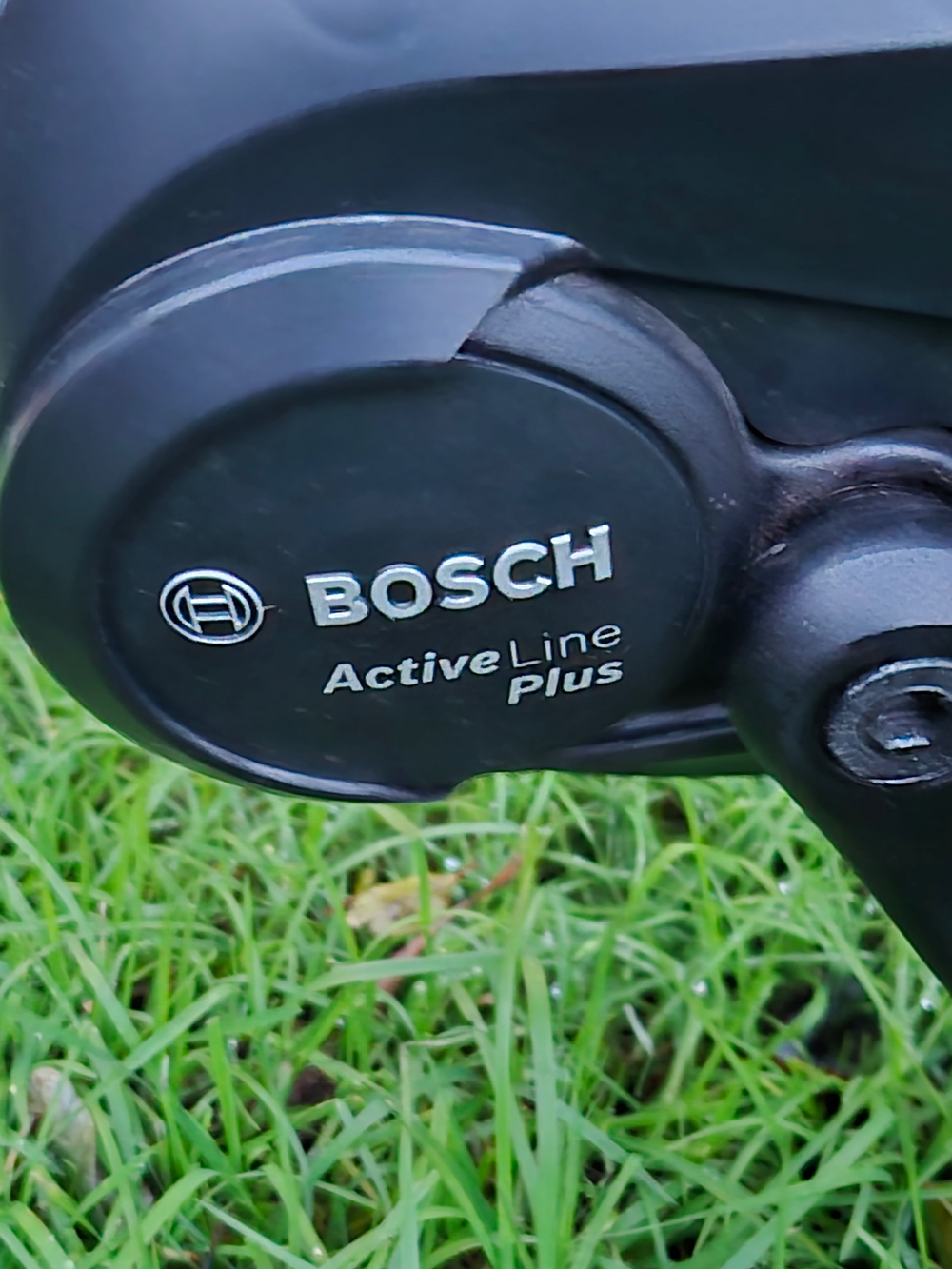 ORTLER (Germany) Ortler Bozen Wave 2021