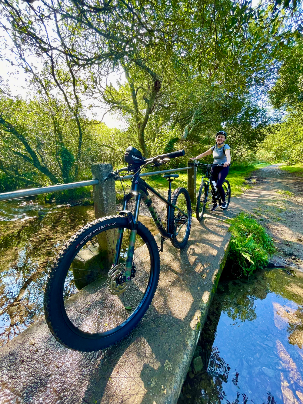 Trek Roscoe 7 2023