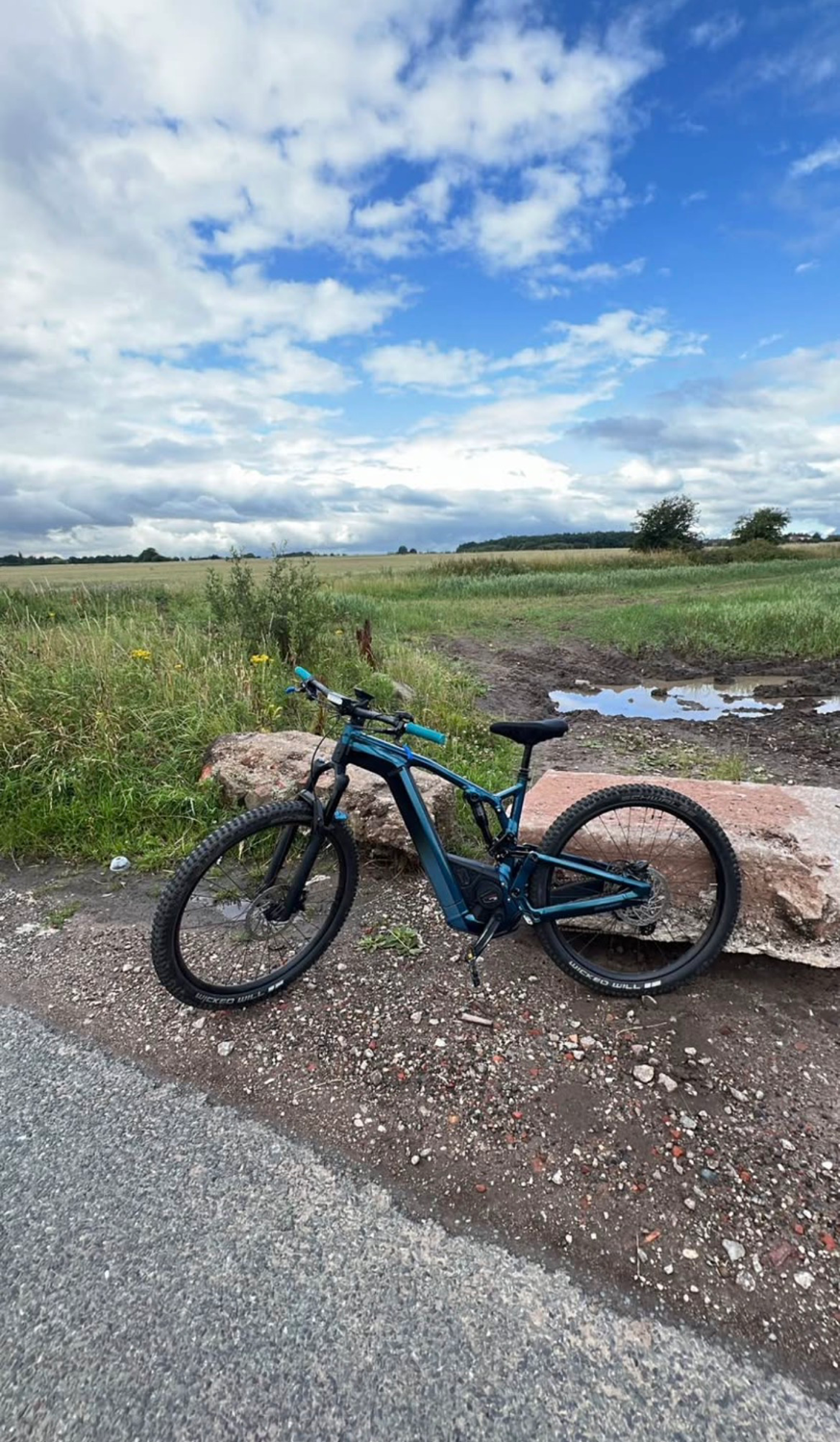 Bergamont E-trailster 150 Expert 2024