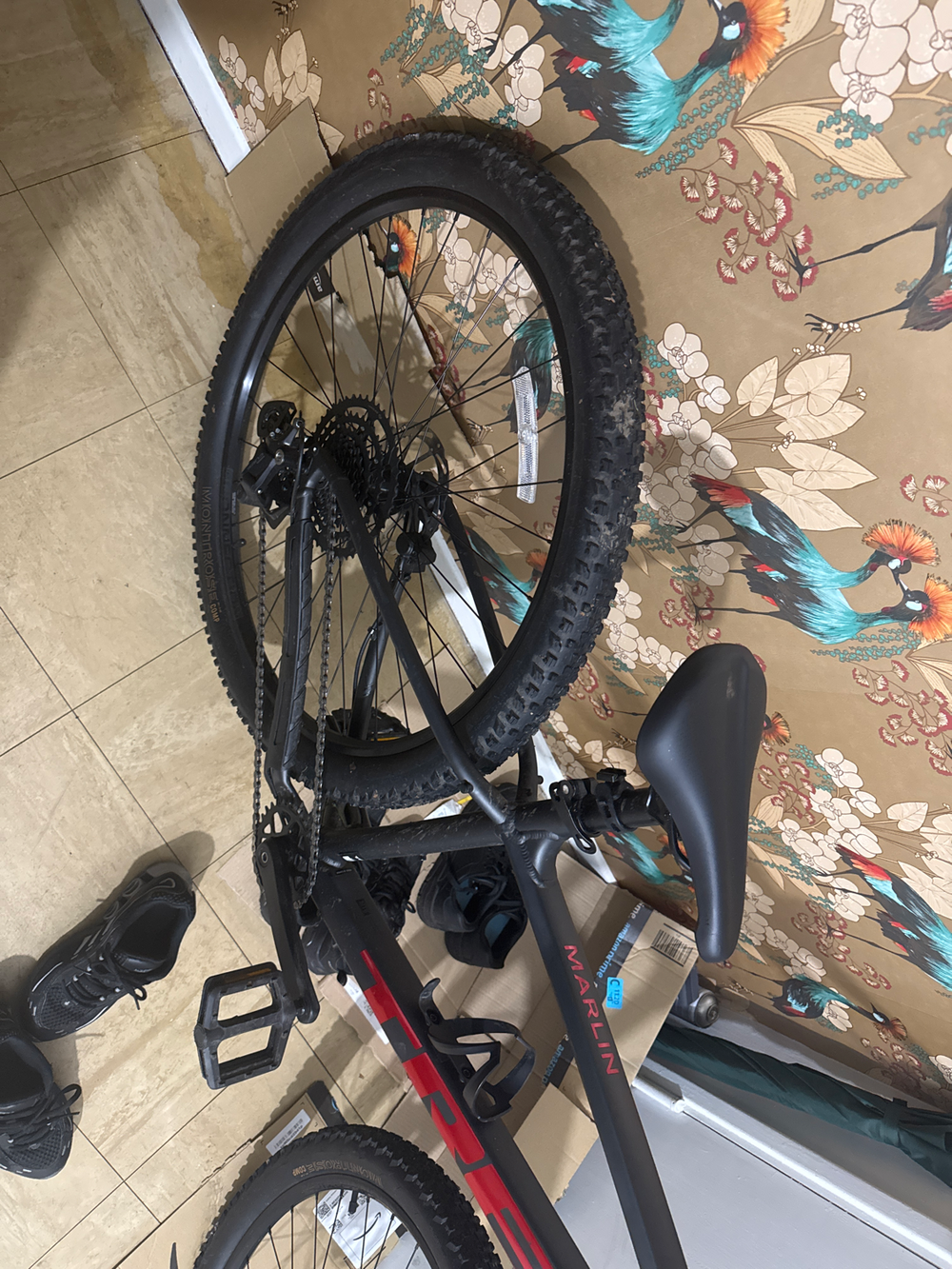 Trek Marlin 5 gen 3 2024