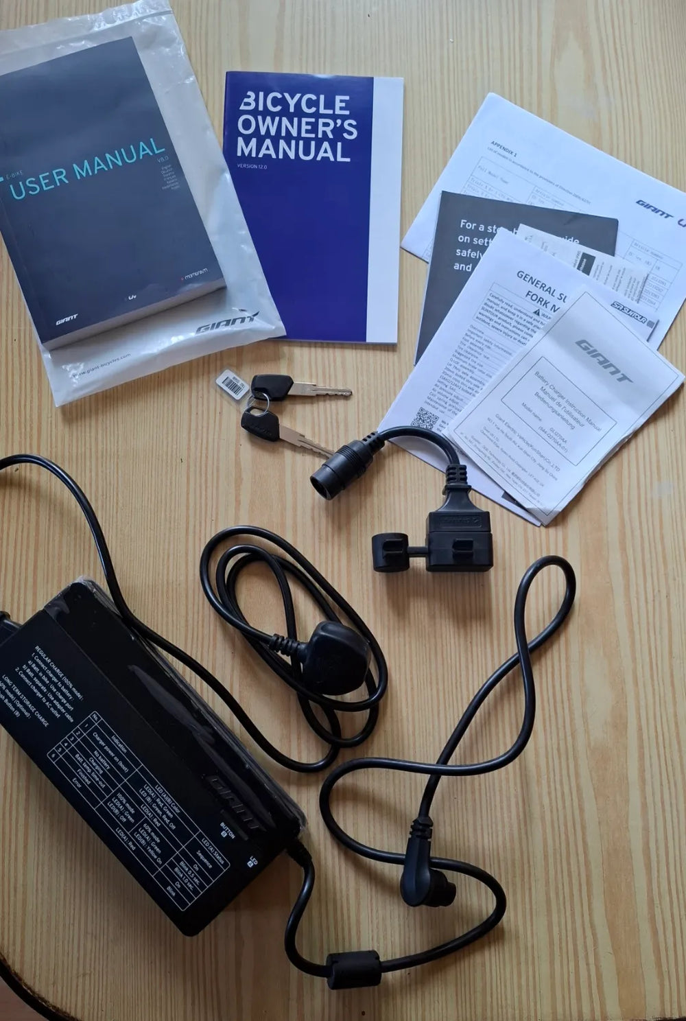 Giant DailyTour E+ 2 Dash D GTS 2022