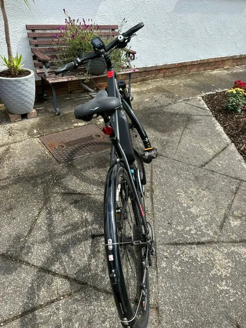 Trek Dual Sport+ 2019