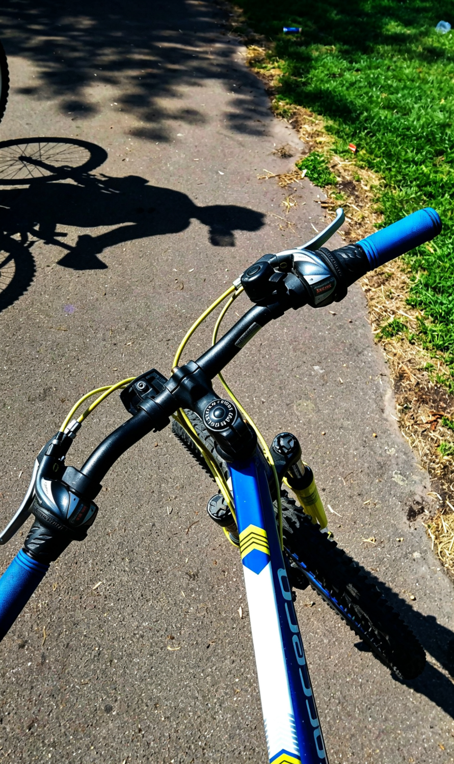 Carrera Blast Junior 2021