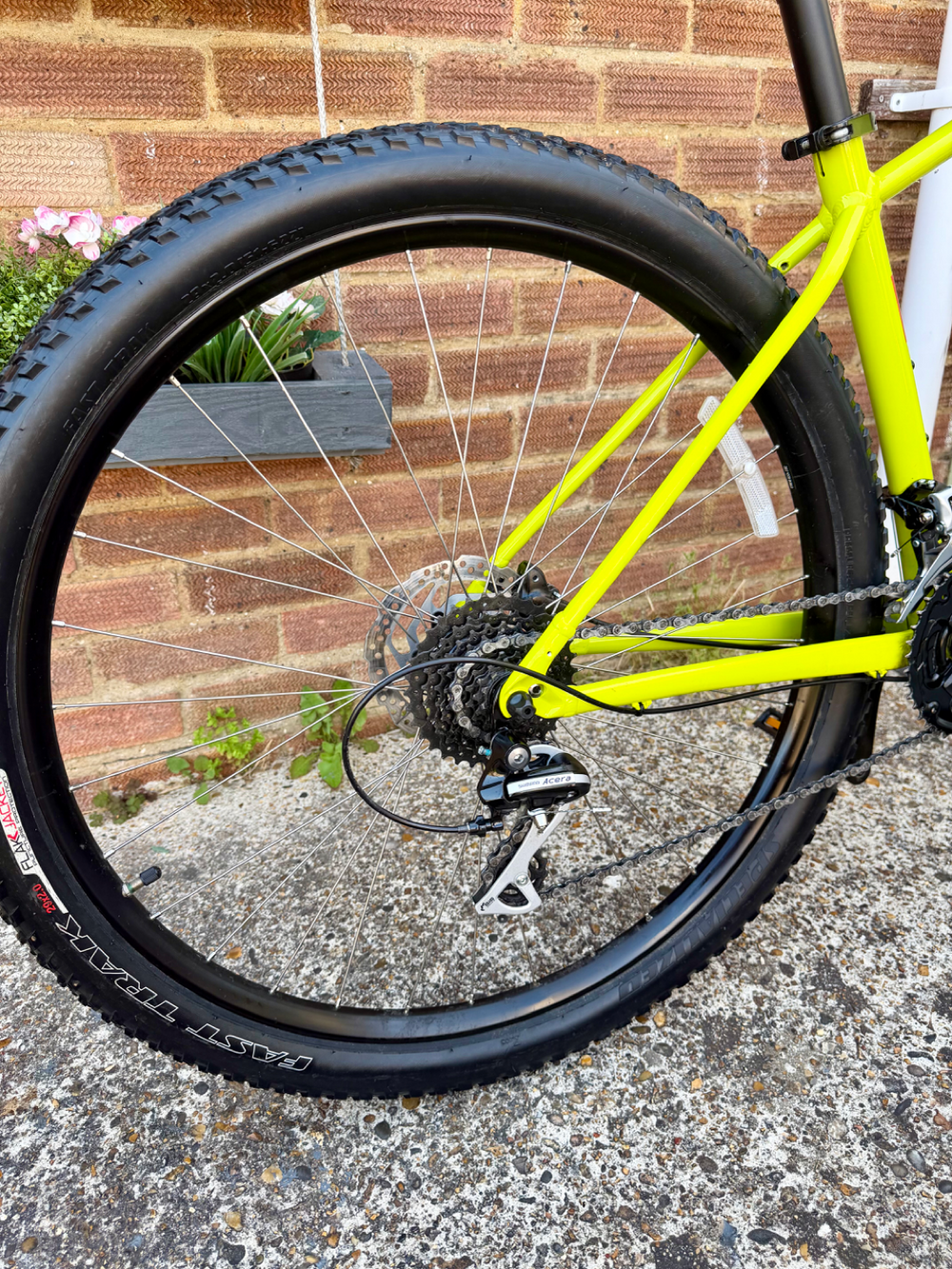 Specialized Rockhopper 29 2023