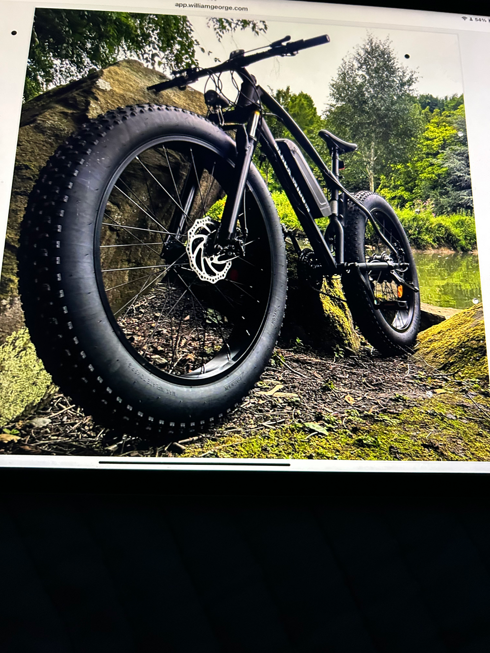 Black Widow E Bike  2024