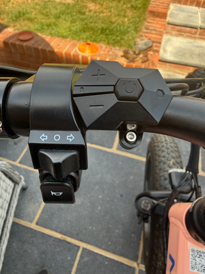 Mate Mate x 250w 2019