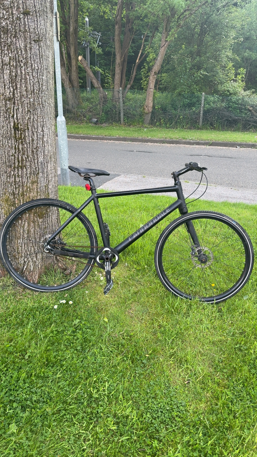 Cannondale Bad boy lefty 2018