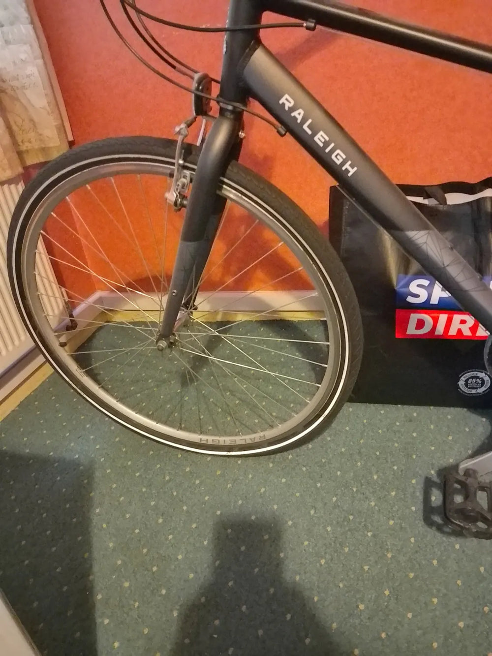 Raligh Pioneer  2024