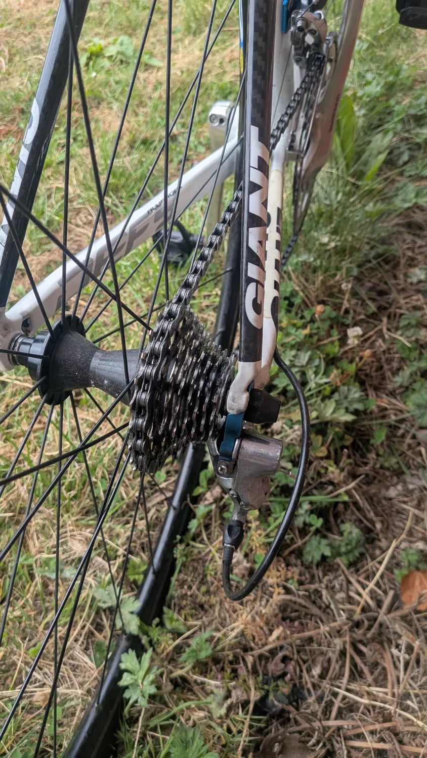 Giant Defy Alliance 1 2010