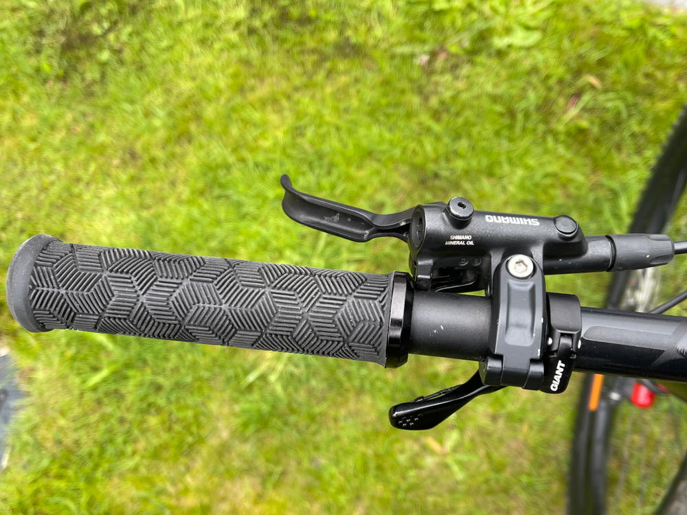 Giant Reign 1 29 Enduro 2021
