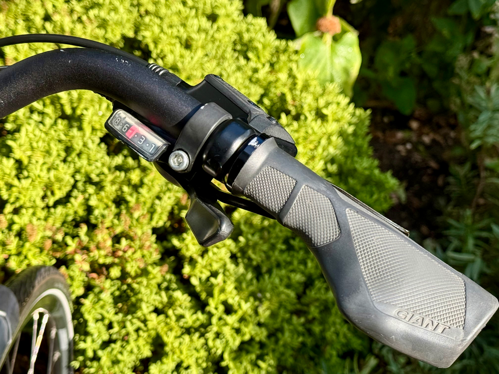 Giant Entour E+ 1 Low Step Through 2020