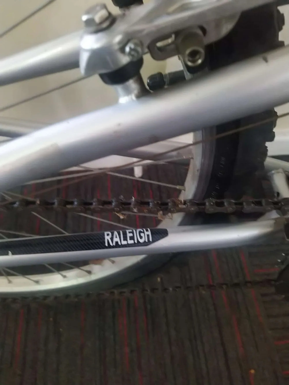 Raleigh Dorado 1999