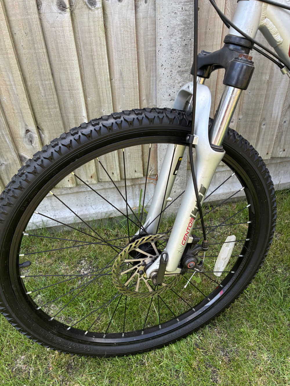 Carrera Centos Junior 2022