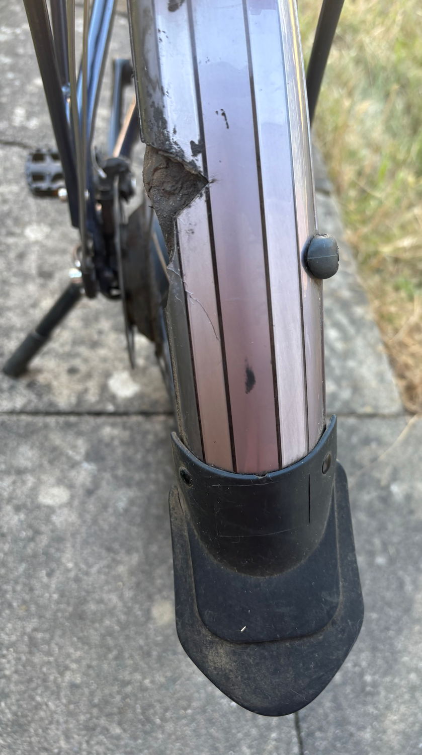 Raleigh Array Lowstep 2022