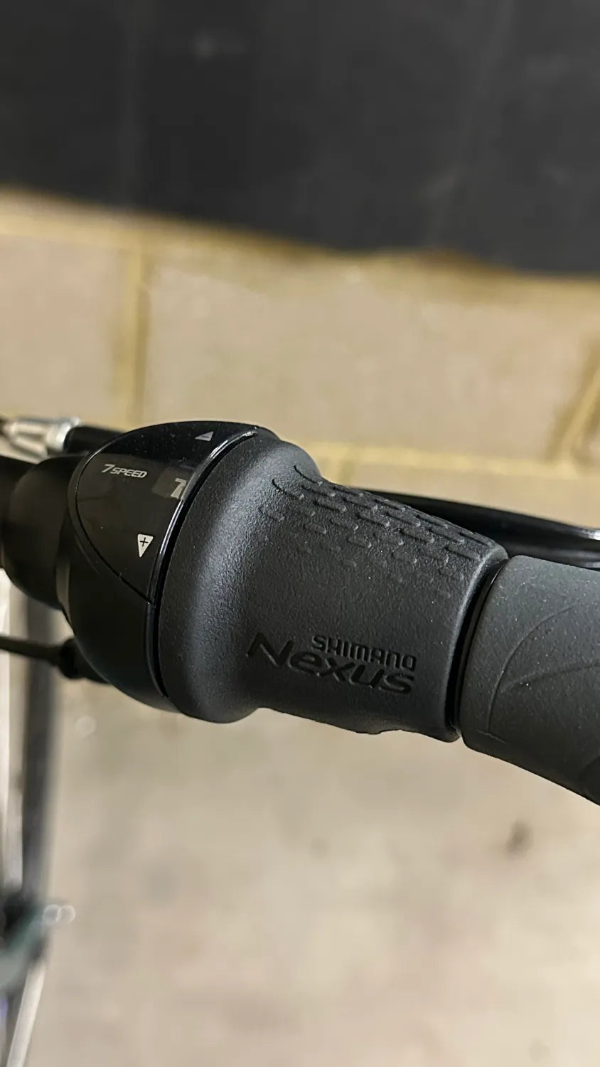 Ridgeback Avenida 7 2024