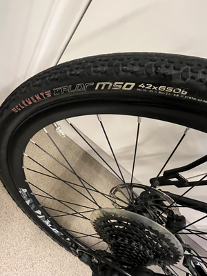 Raleigh Mustang E Comp 2019
