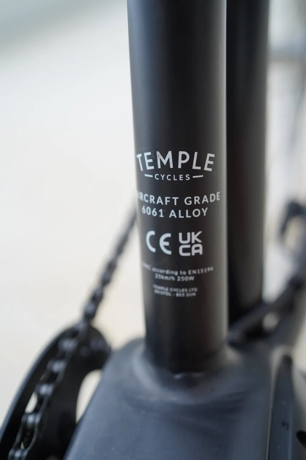 Temple Cycles Electric Step Through 2023
