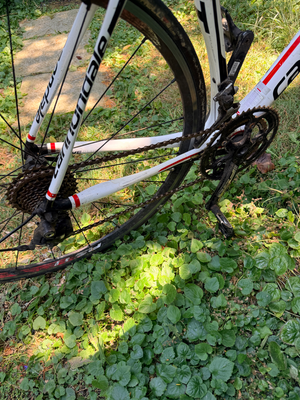 Cannondale Synapse Carbon 105 5 2014