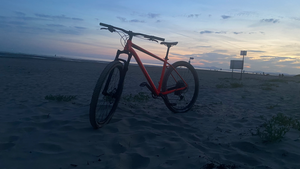 Cannondale Trail 2 29er 2019