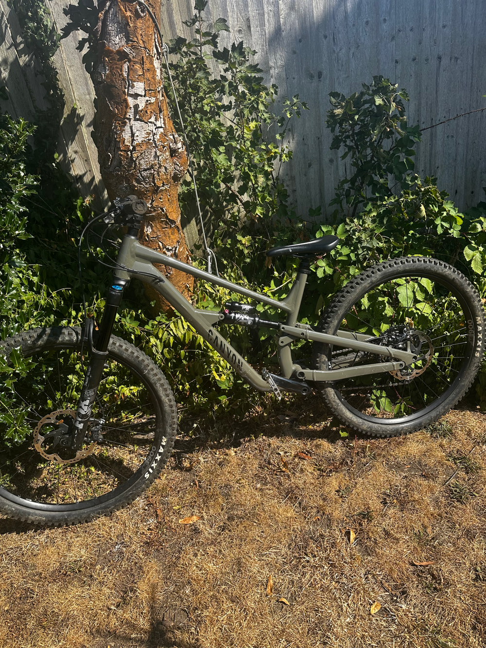 Canyon Spectral 29 6 2022