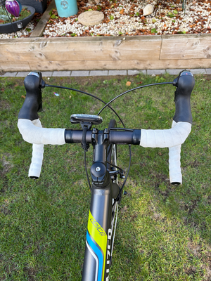 Specialized Dolce Elite 2015