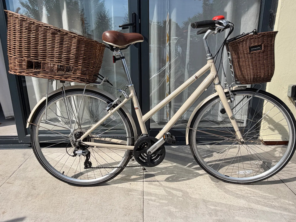 Trek Allant 2019