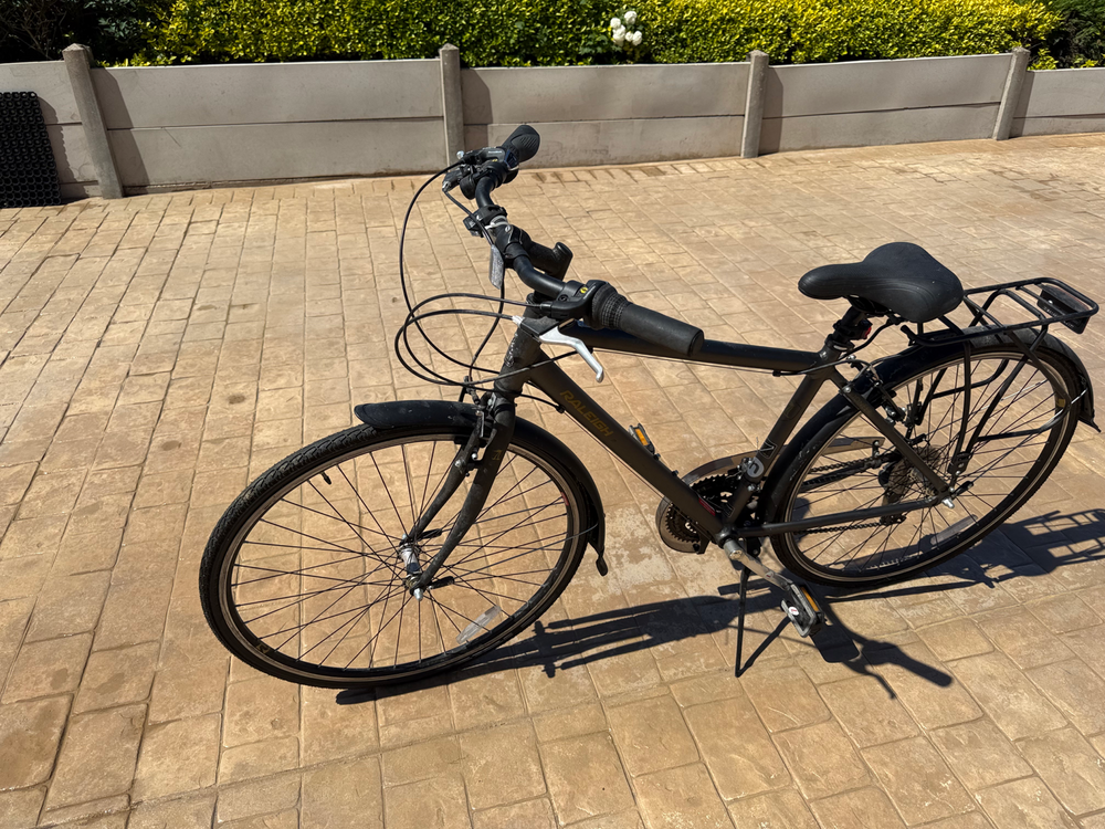 Raleigh Pioneer 2014