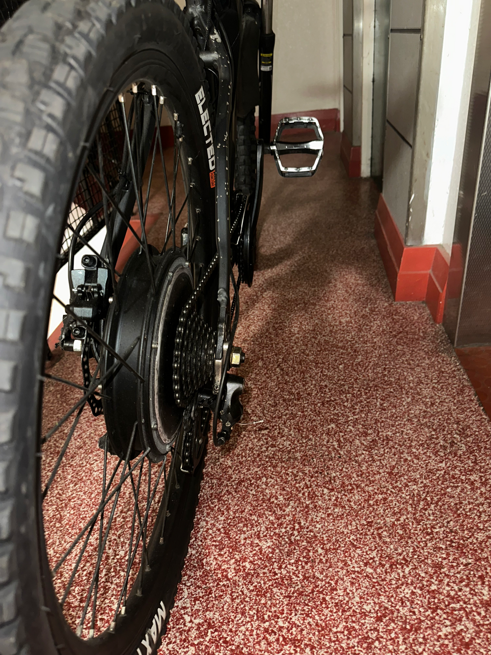 Tiger Electric bike 2018