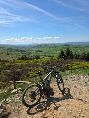 Specialized Levo SL Alloy 2025