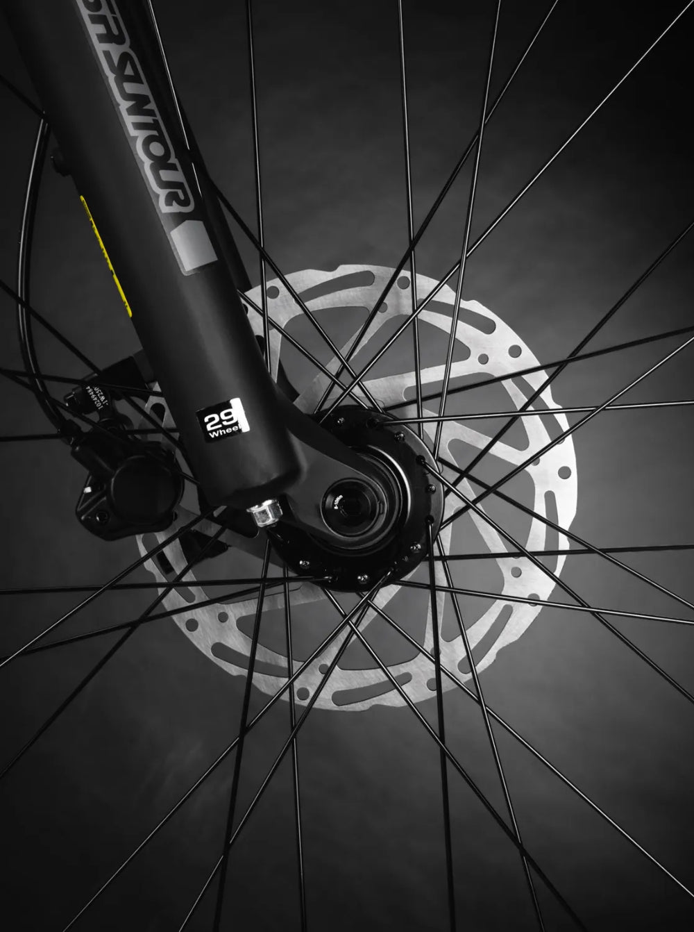 Voodoo Braag 29 2023