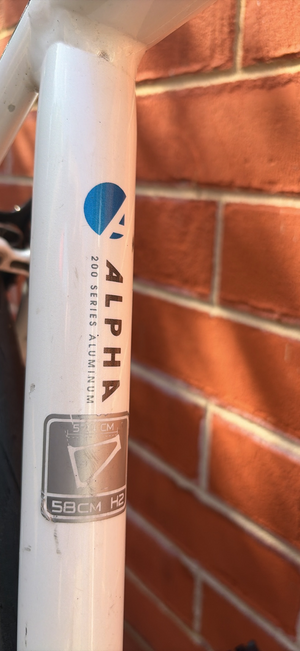 Trek 2.1 2022