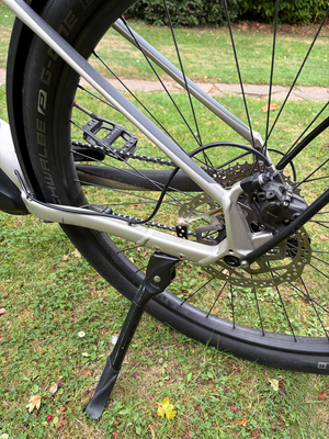 Cannondale Canvas Neo 2 2021